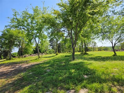 Tbd Fm 317 Chandler TX 75758