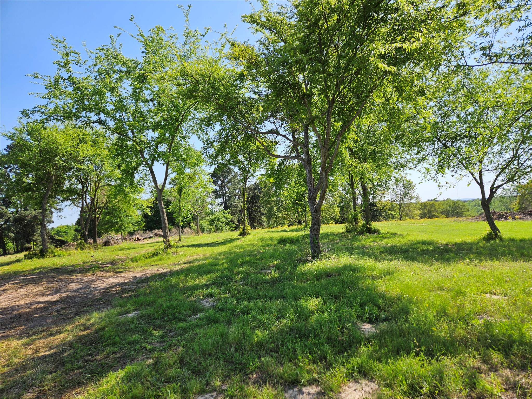 Tbd Fm 317 Chandler TX 75758