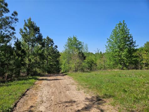 Tbd Fm 317 Chandler TX 75758