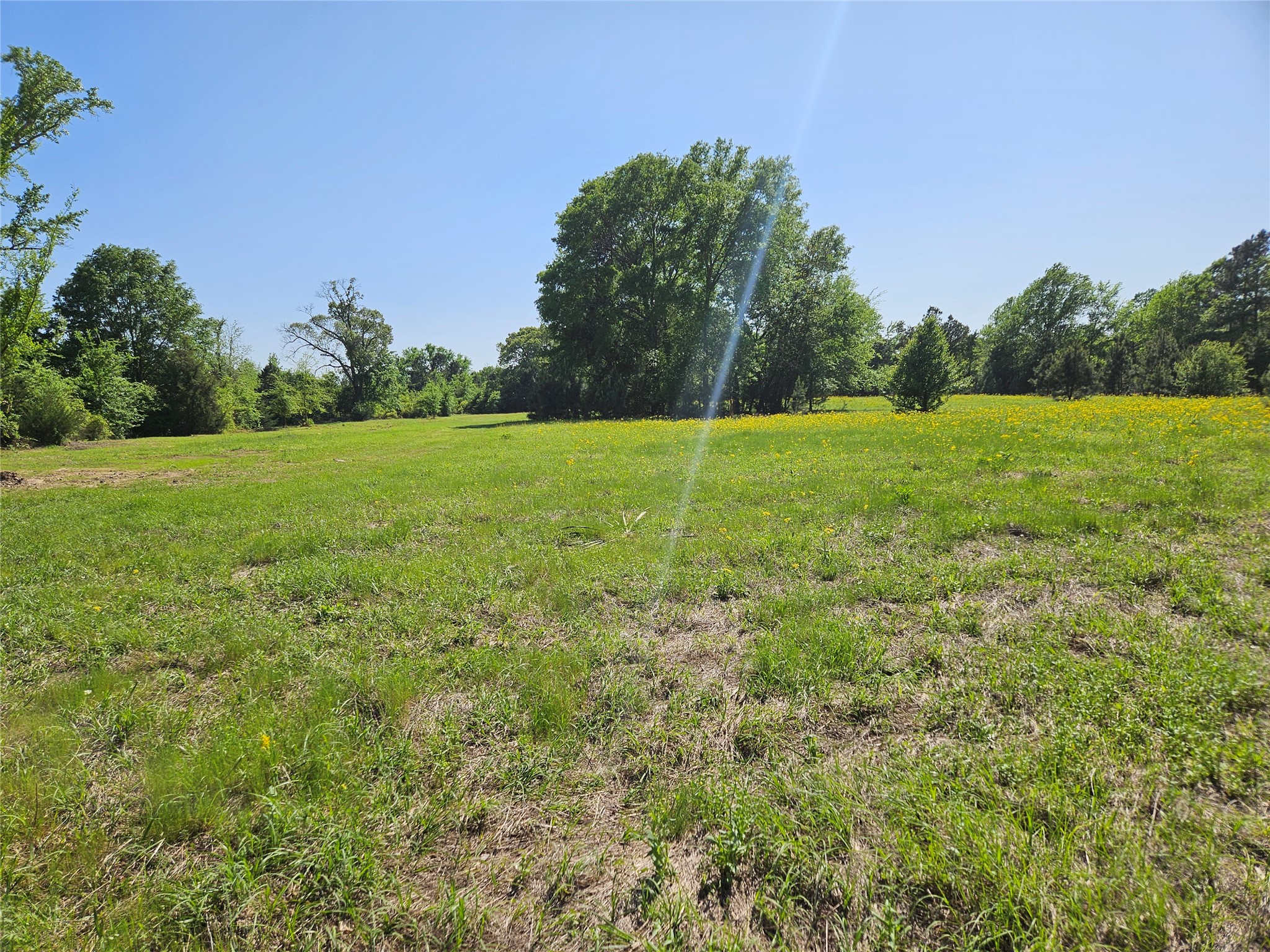 Tbd Fm 317 Chandler TX 75758