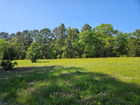 Tbd Fm 317 Chandler TX 75758