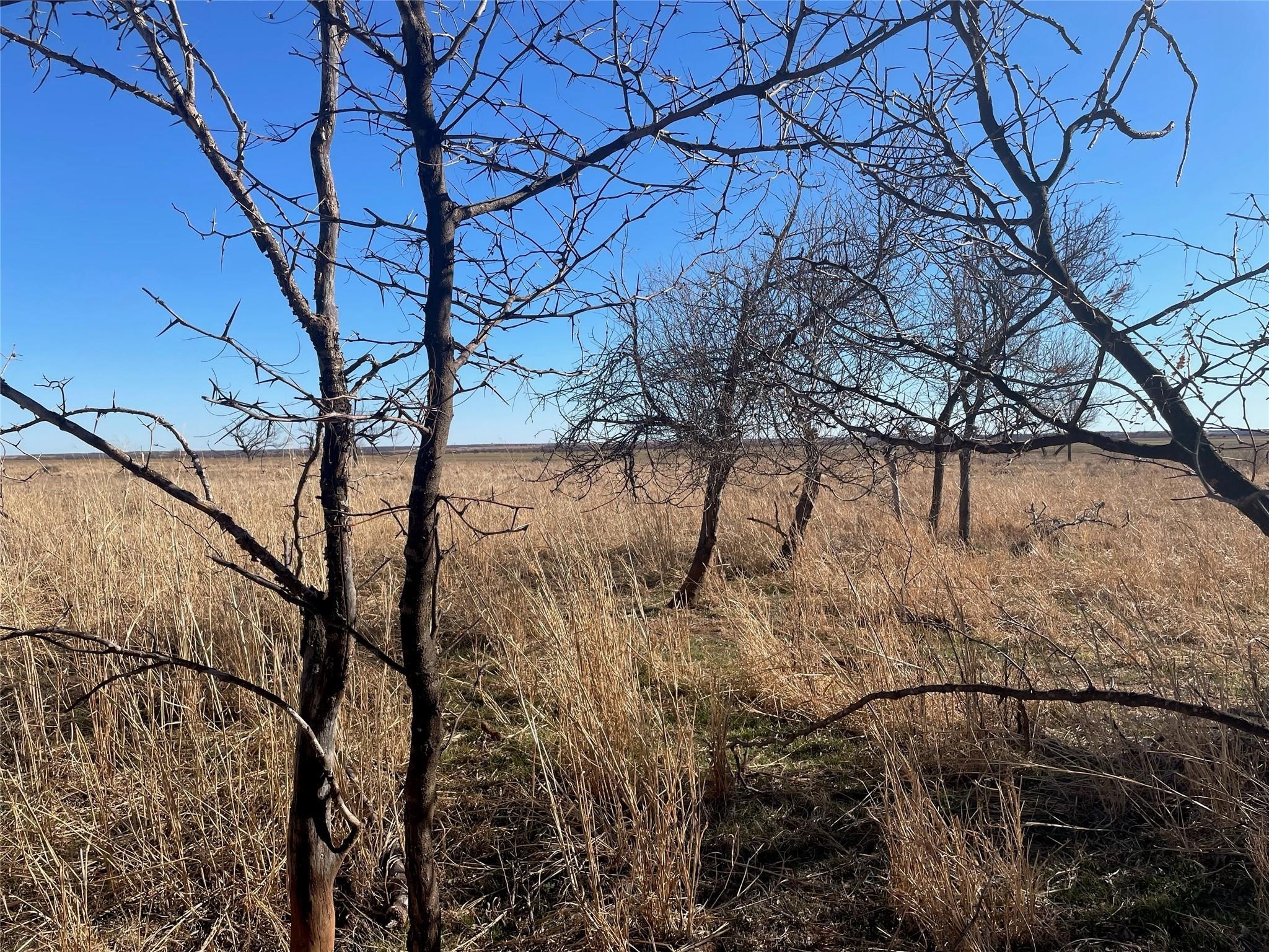 Tbd Creek 160 Seymour TX 76308