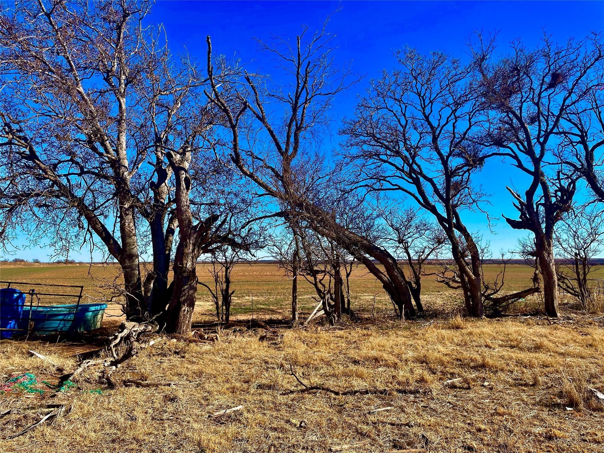 Tbd Creek 160 Seymour TX 76308