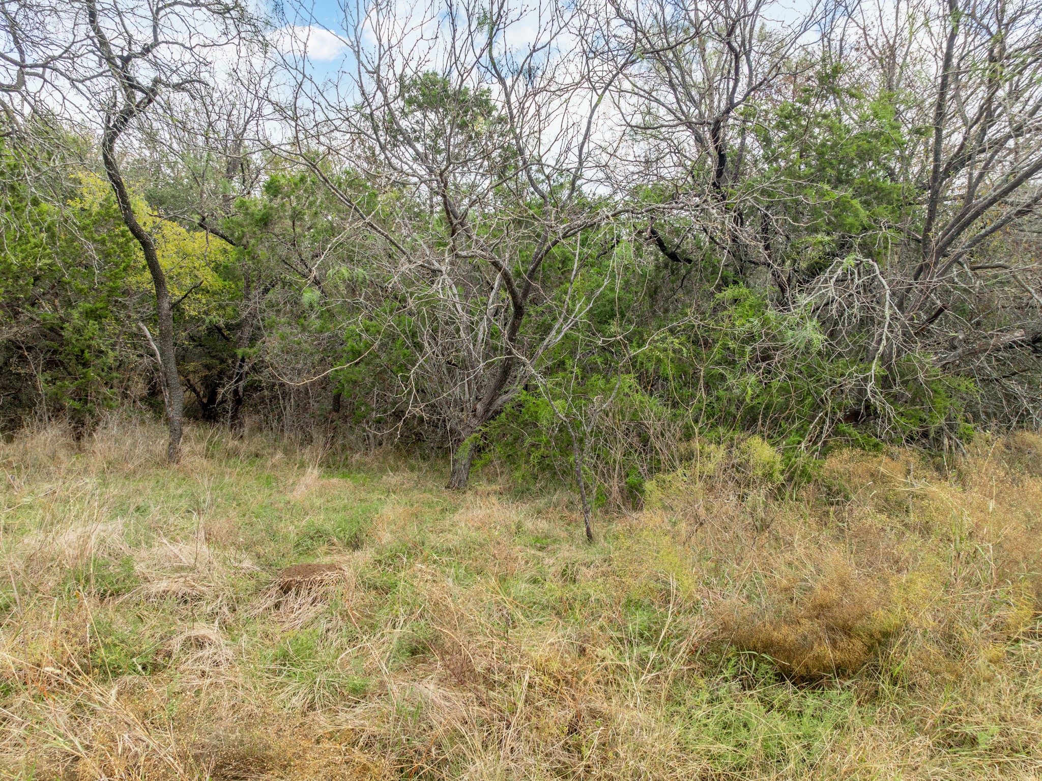 39166 Rock Ridge Drive Whitney TX 76692