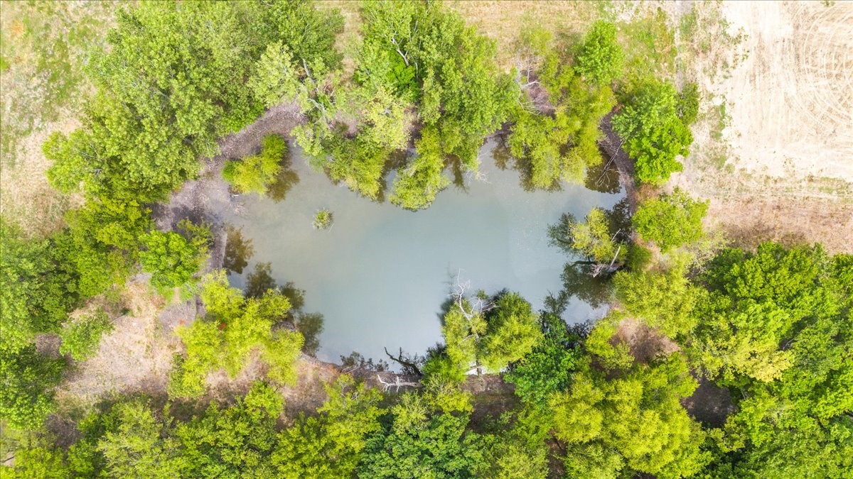 250 Willow Lane Van Alstyne TX 75495