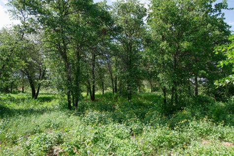 10818 County Road 335 Hawley TX 79525