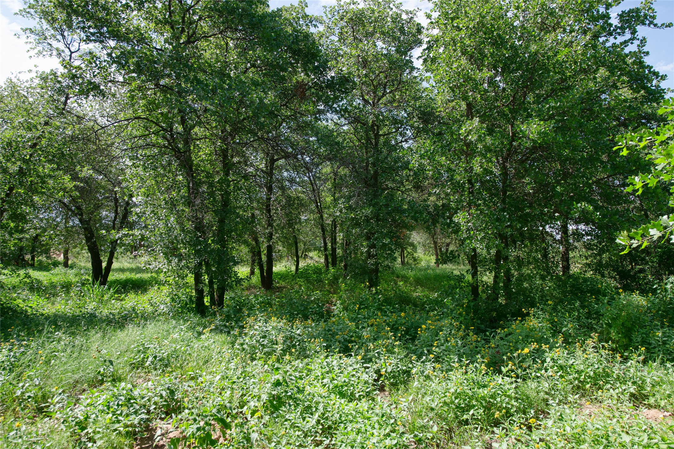 10818 County Road 335 Hawley TX 79525