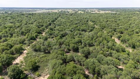10818 County Road 335 Hawley TX 79525
