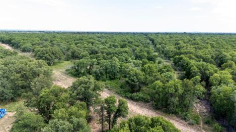 10818 County Road 335 Hawley TX 79525