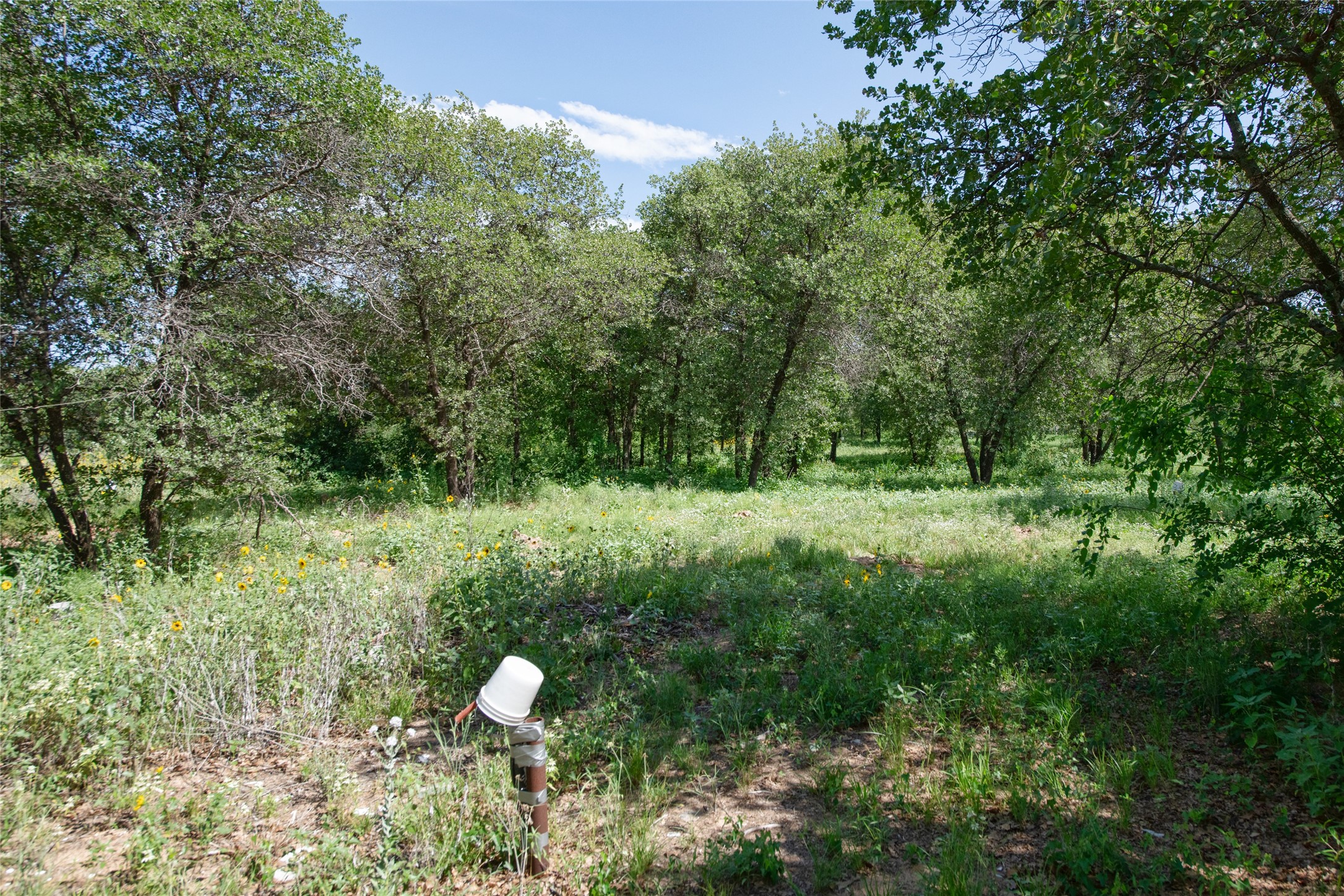 10818 County Road 335 Hawley TX 79525