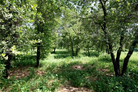 10818 County Road 335 Hawley TX 79525
