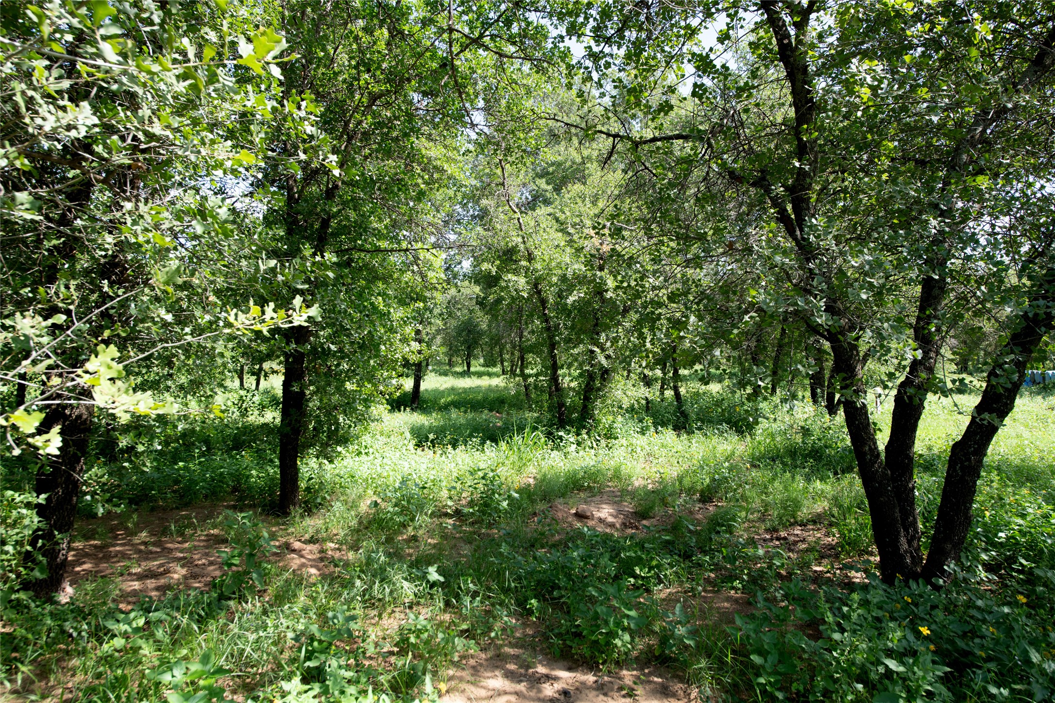10818 County Road 335 Hawley TX 79525