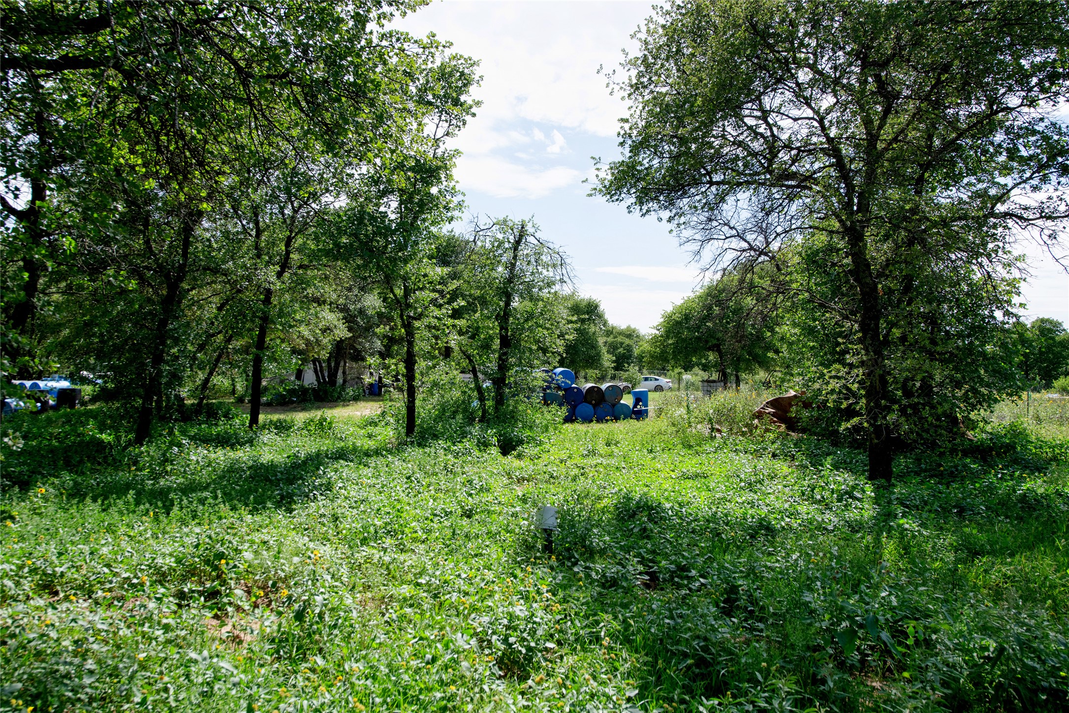 10818 County Road 335 Hawley TX 79525
