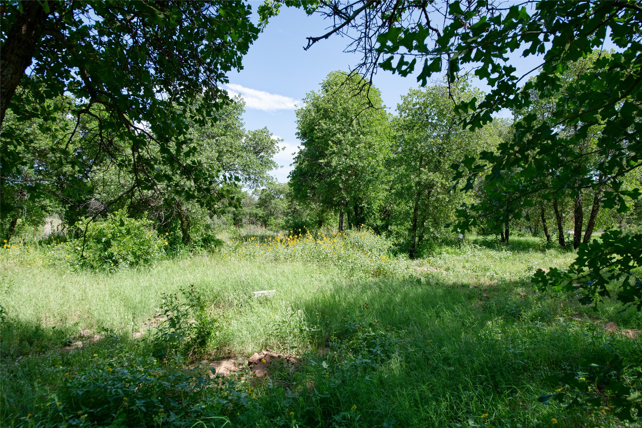 10818 County Road 335 Hawley TX 79525
