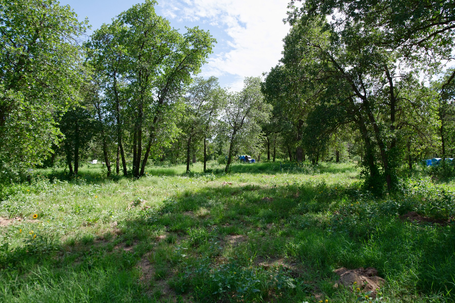 10818 County Road 335 Hawley TX 79525