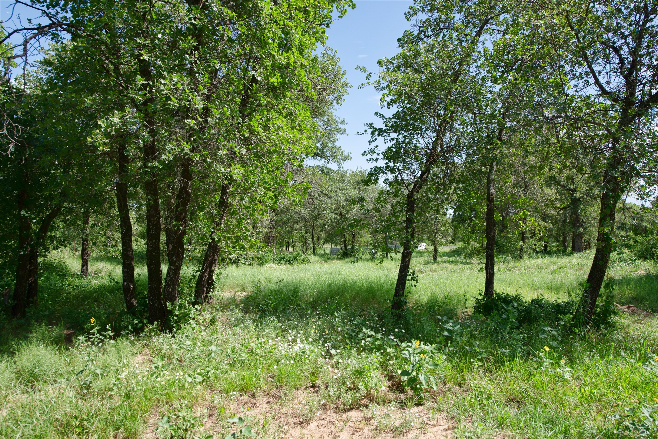 10818 County Road 335 Hawley TX 79525