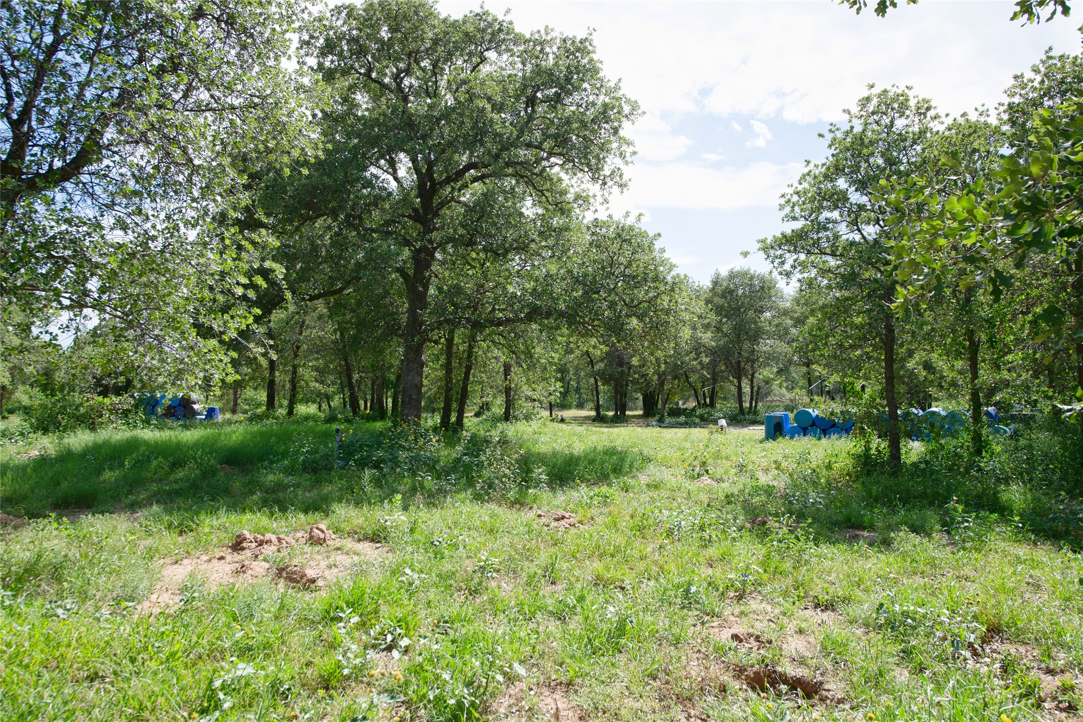 10818 County Road 335 Hawley TX 79525