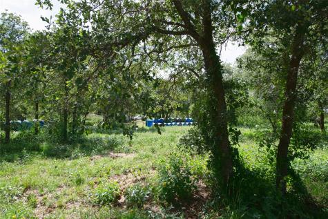 10818 County Road 335 Hawley TX 79525