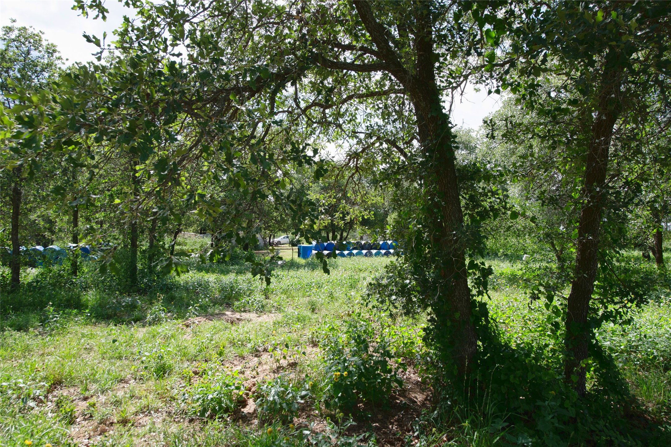 10818 County Road 335 Hawley TX 79525
