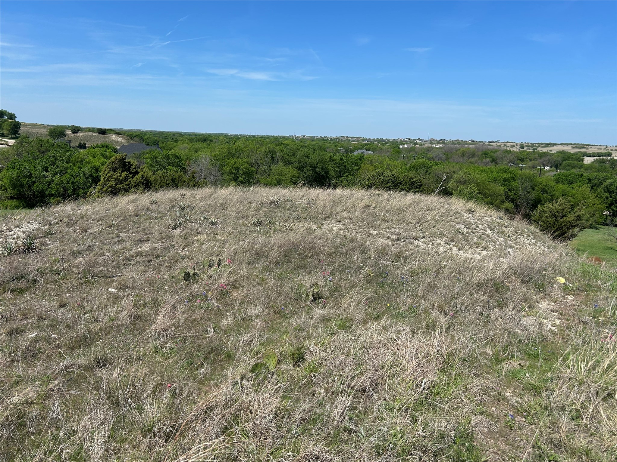 3641 Bear Creek Road Aledo TX 76008