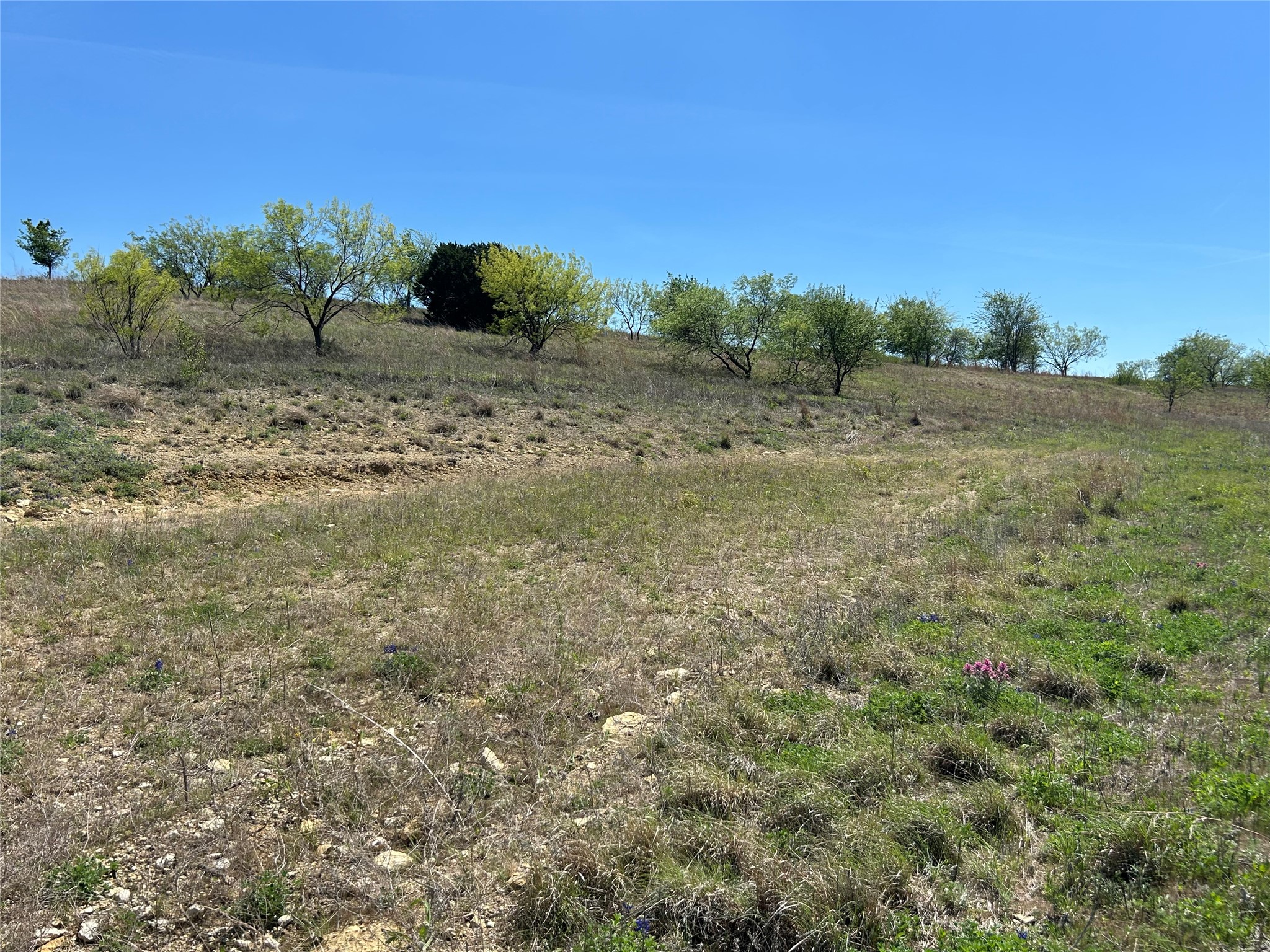 3641 Bear Creek Road Aledo TX 76008