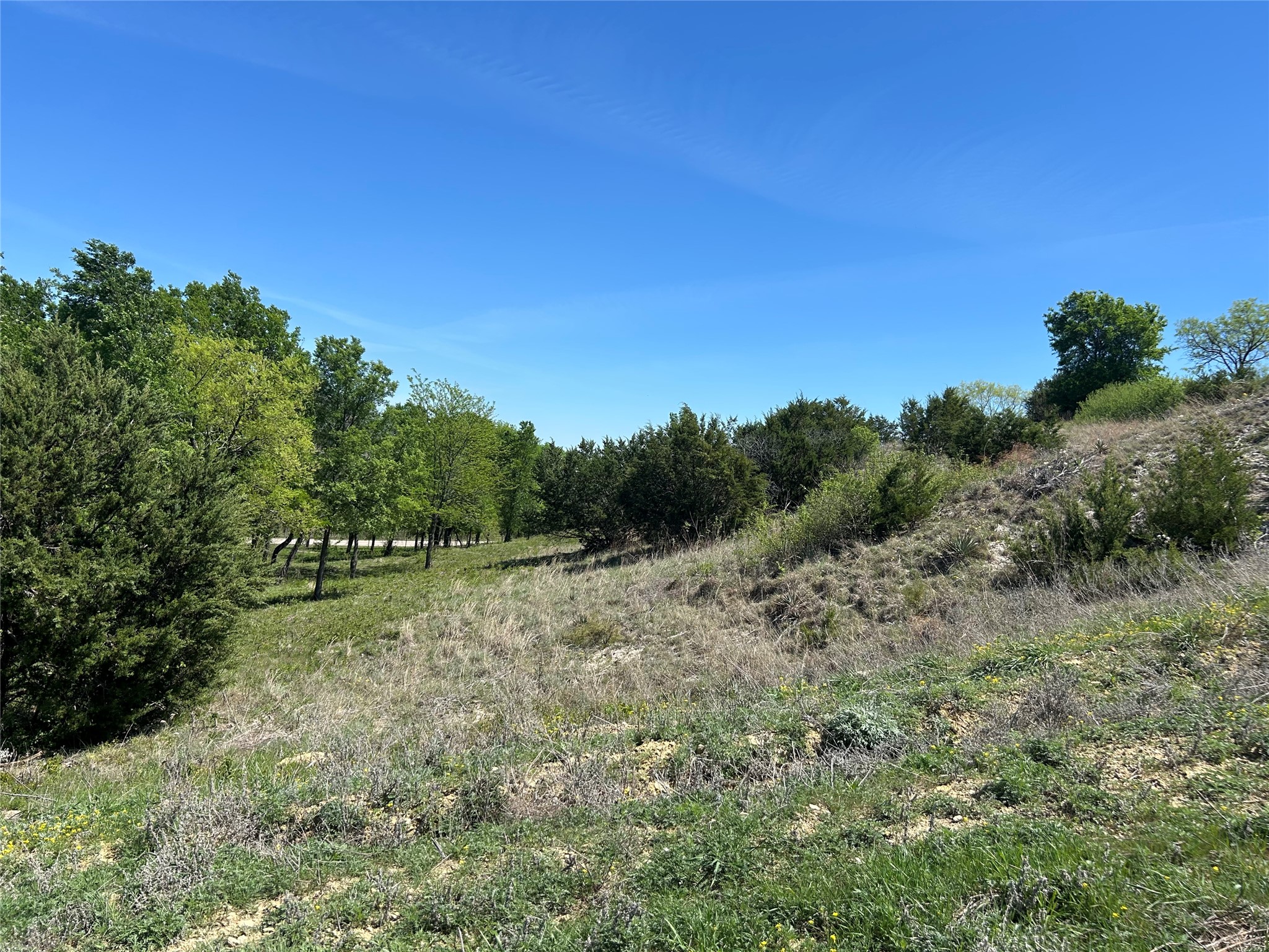 3641 Bear Creek Road Aledo TX 76008
