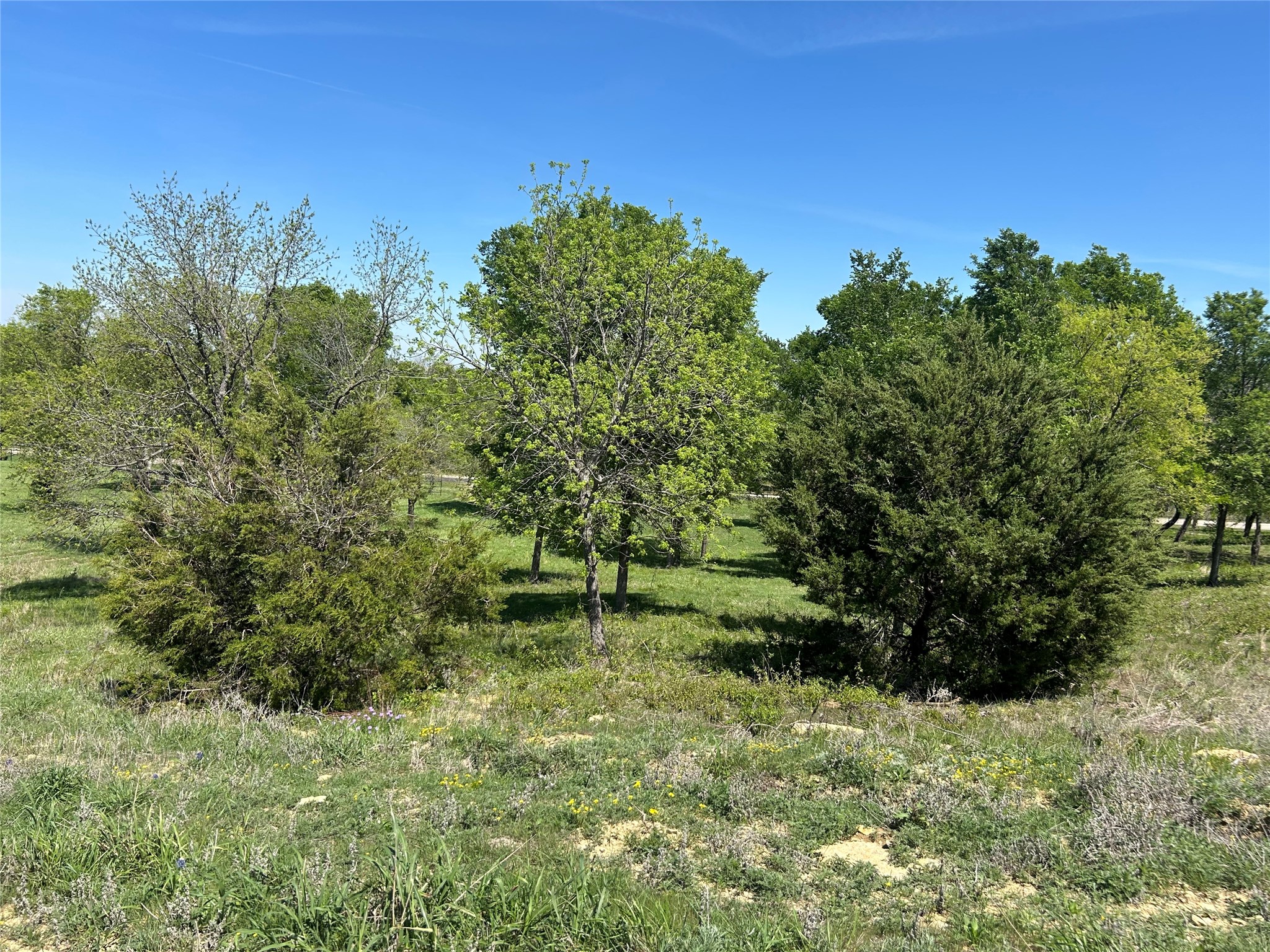3641 Bear Creek Road Aledo TX 76008