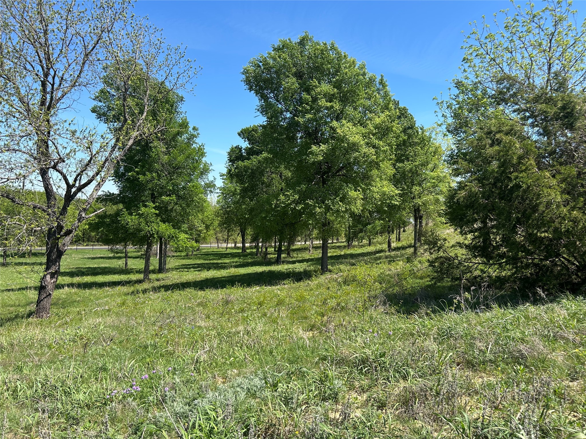 3641 Bear Creek Road Aledo TX 76008