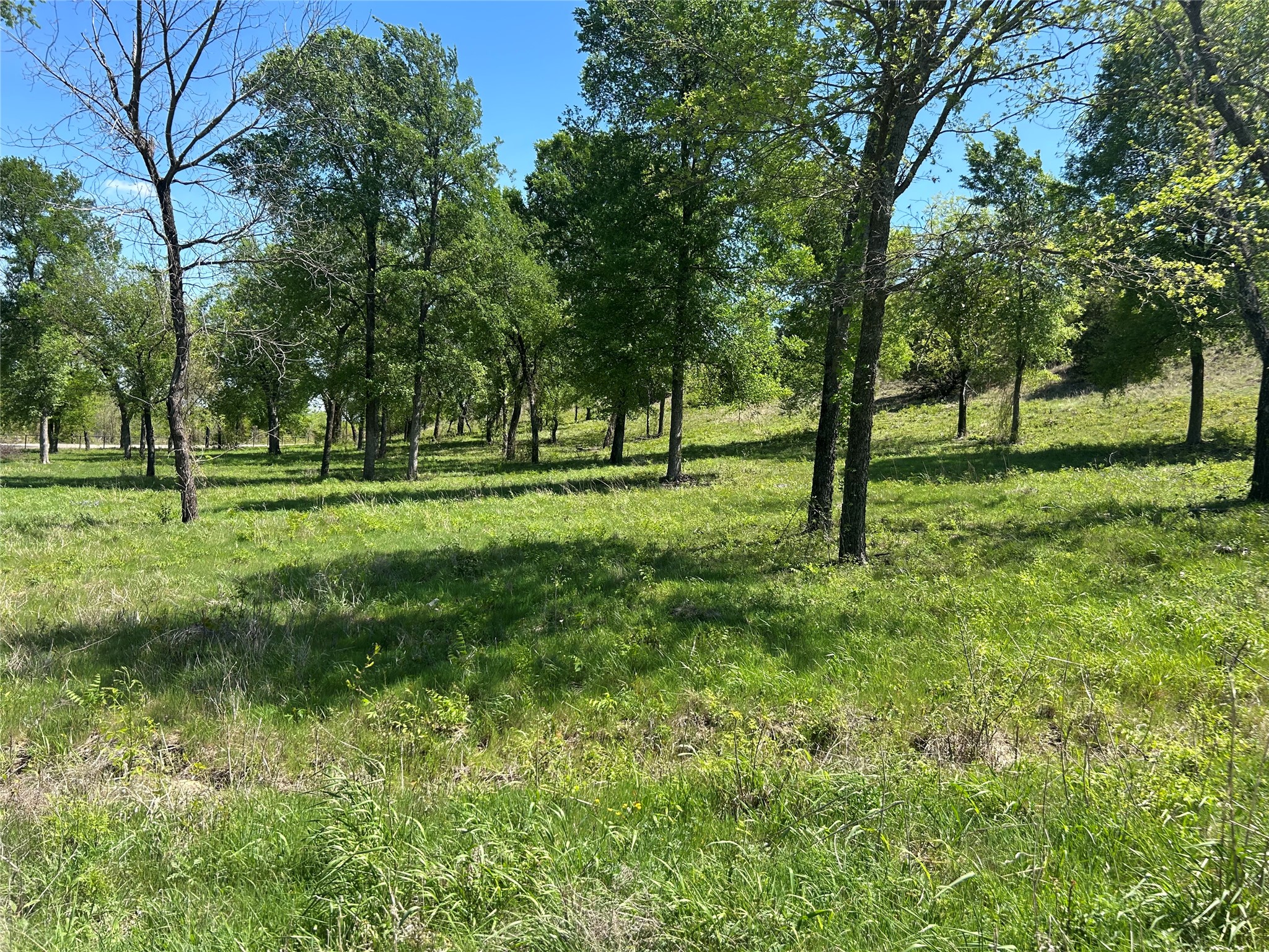 3641 Bear Creek Road Aledo TX 76008