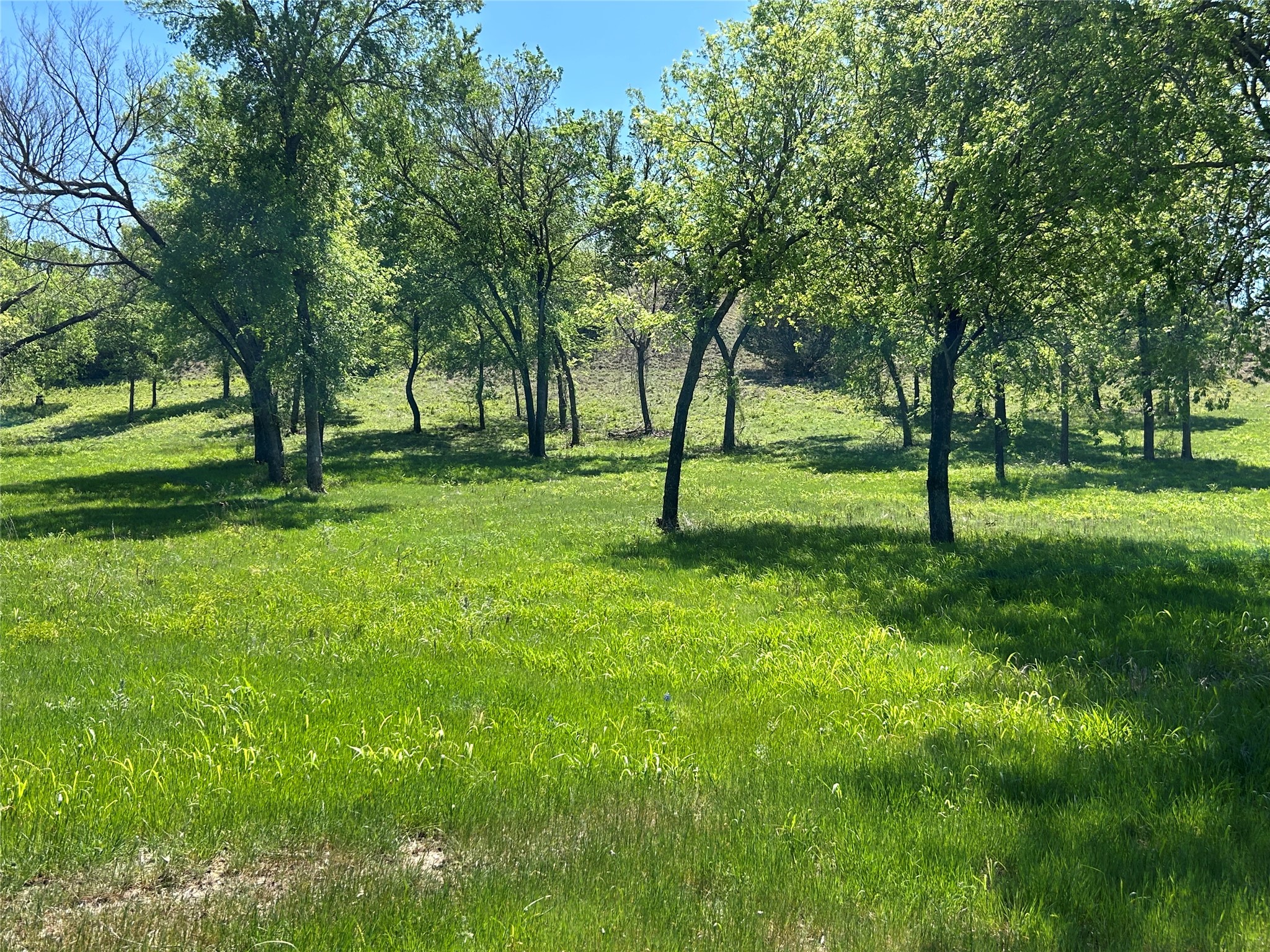 3641 Bear Creek Road Aledo TX 76008