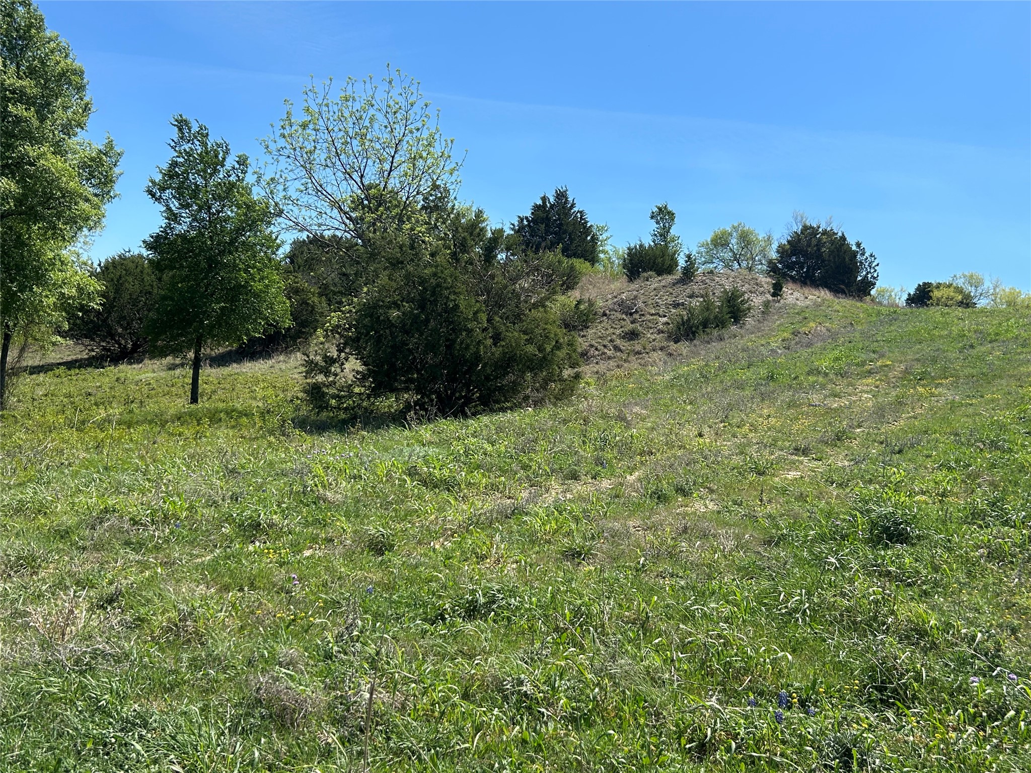 3641 Bear Creek Road Aledo TX 76008