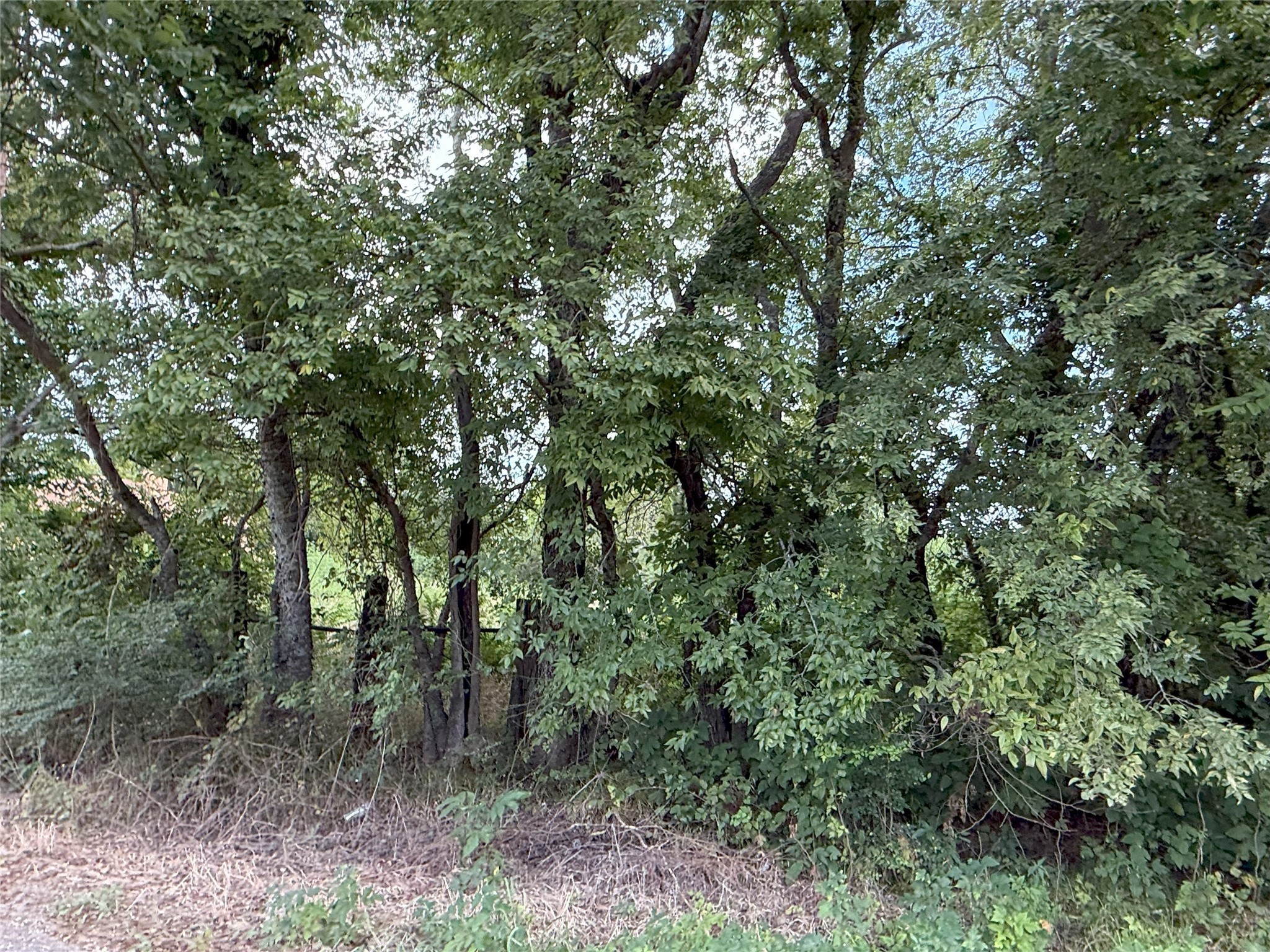 0000 Hanna Street Wolfe City TX 75496