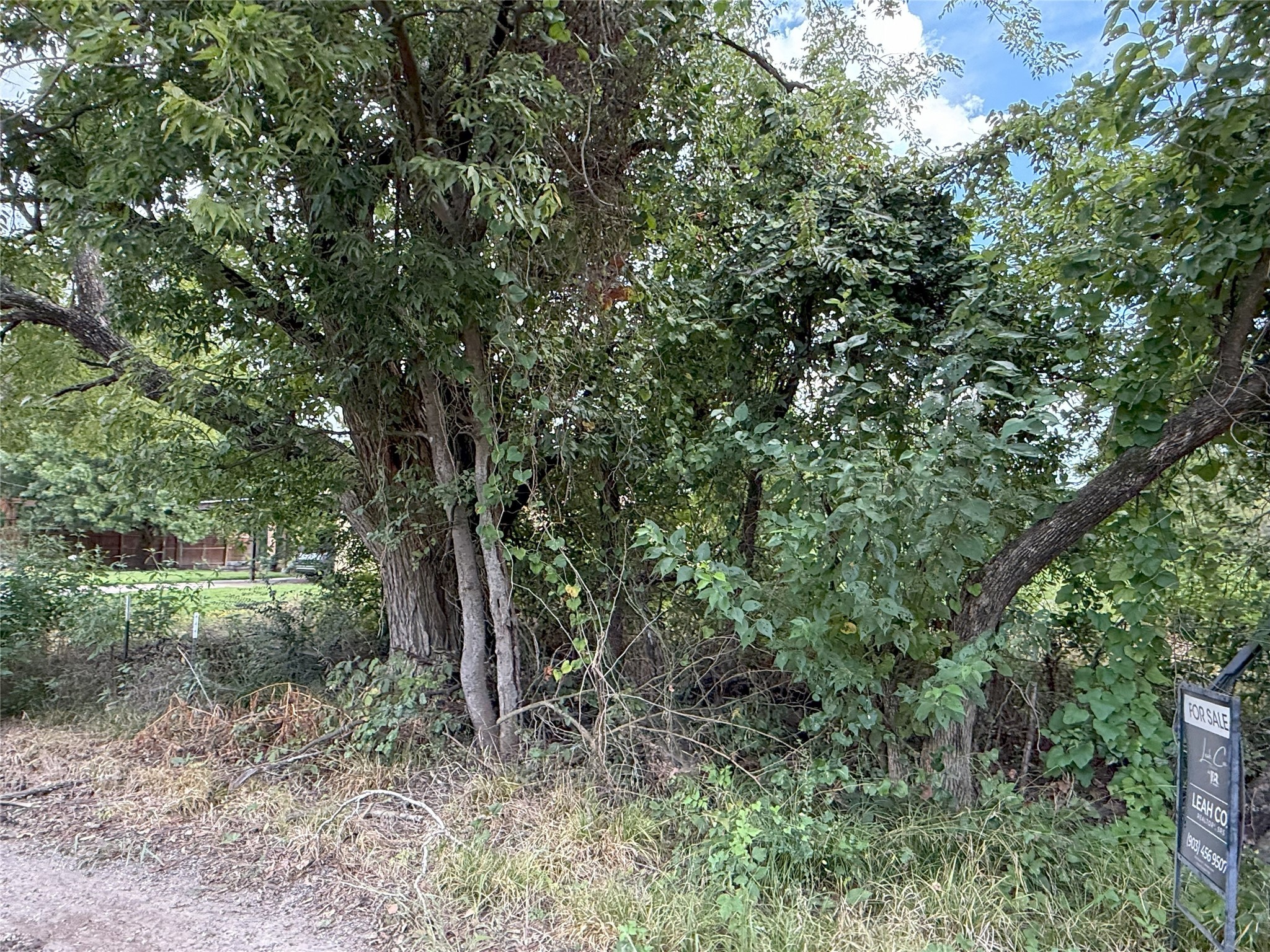 0000 Hanna Street Wolfe City TX 75496