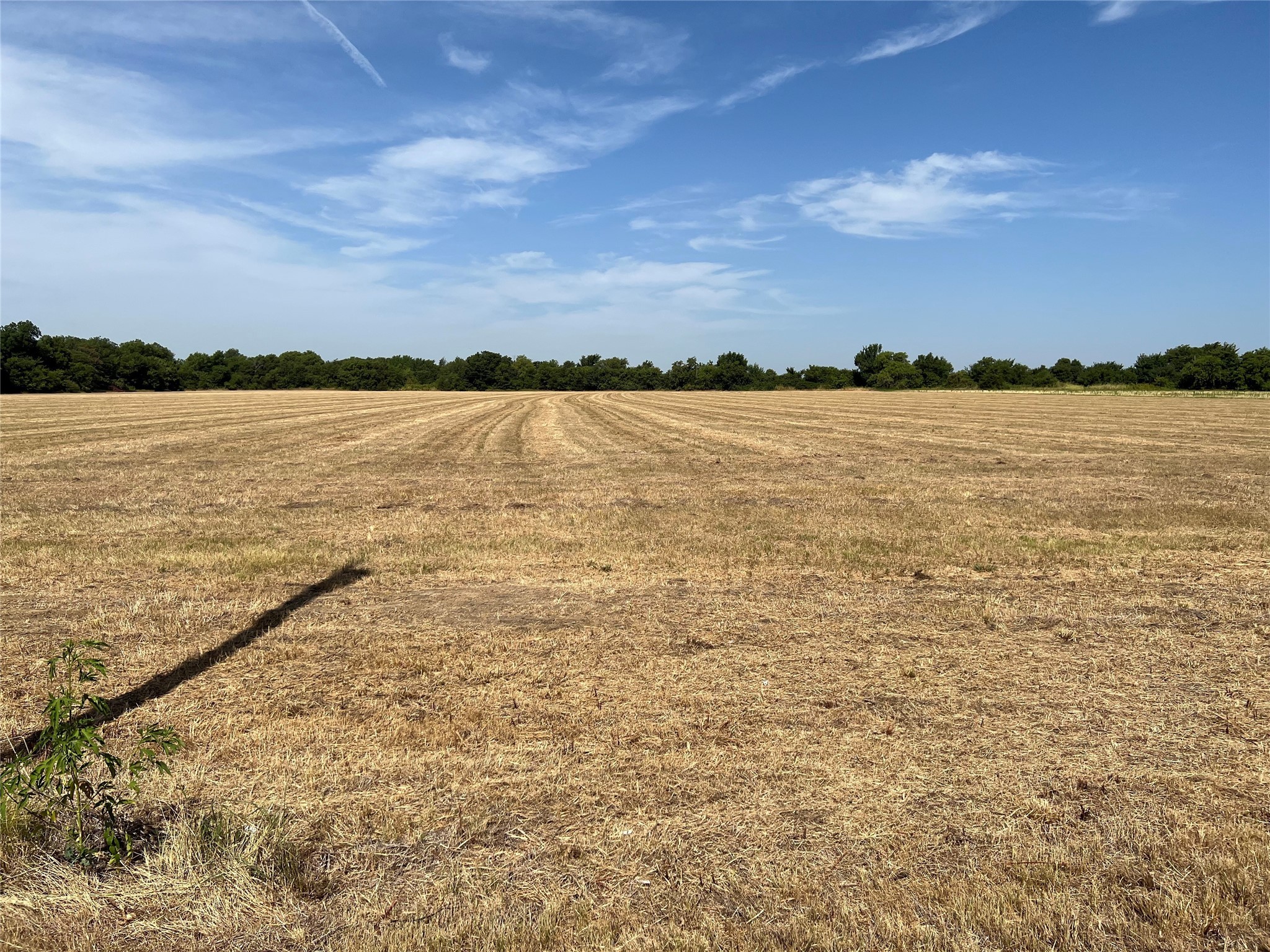Lot 4 Rodgers Road Sadler TX 76264