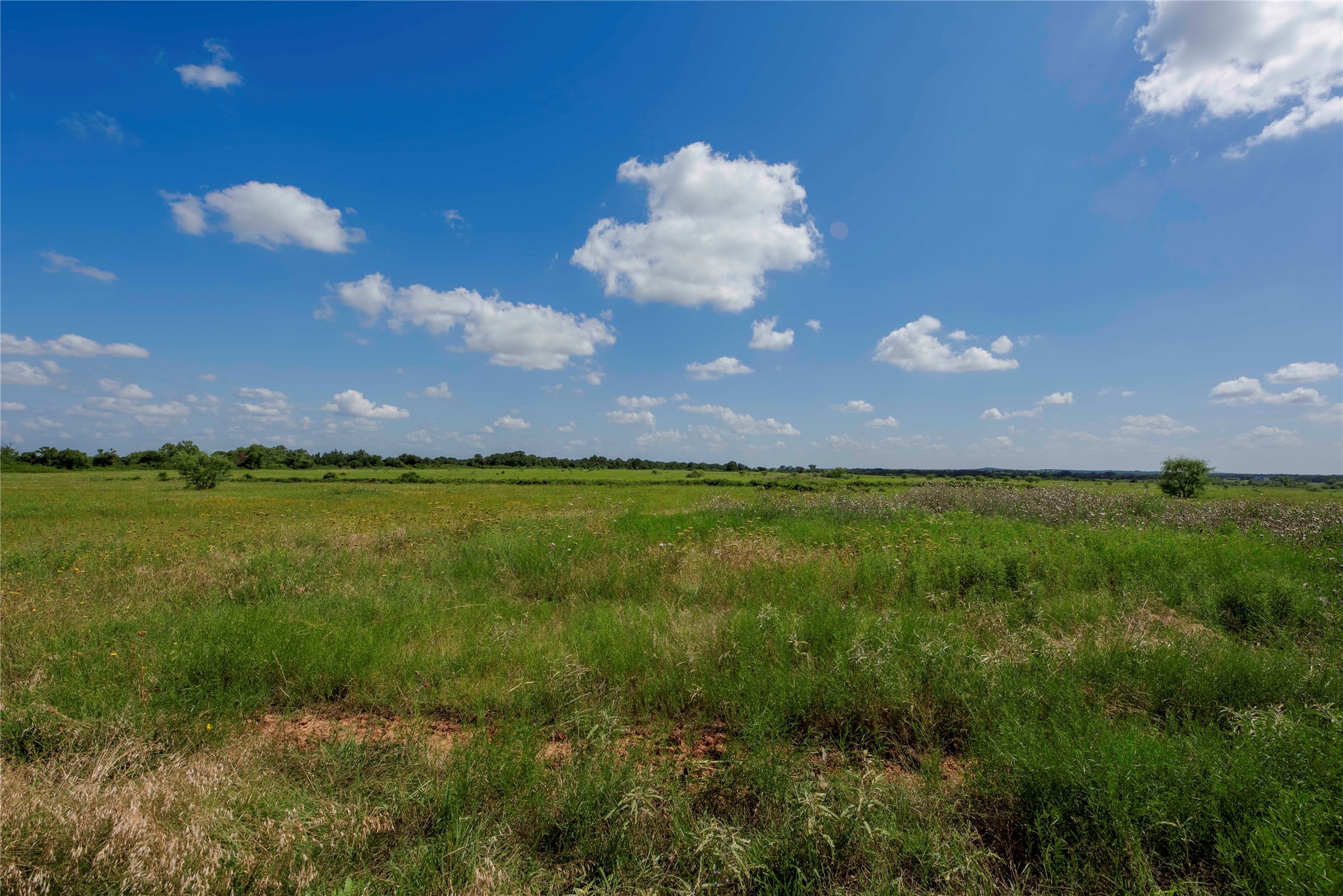 1217 Highway 2731 Rising Star TX 76471