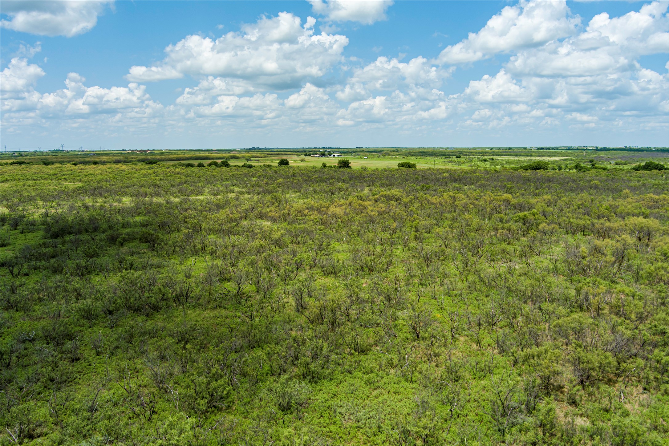 0 Wells Road Holliday TX 76366