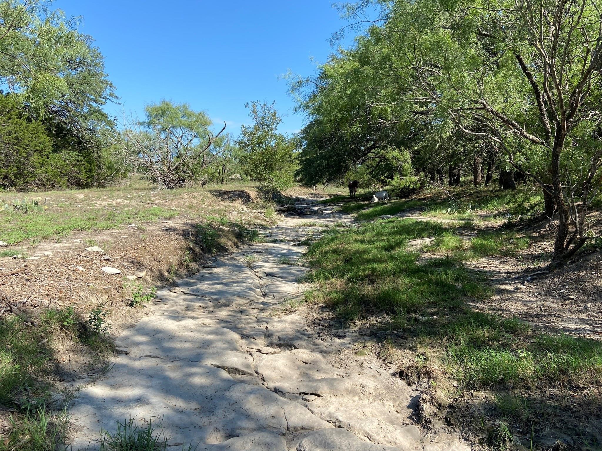 Tbd F.m. 3023 Highway S Goldthwaite TX 76844
