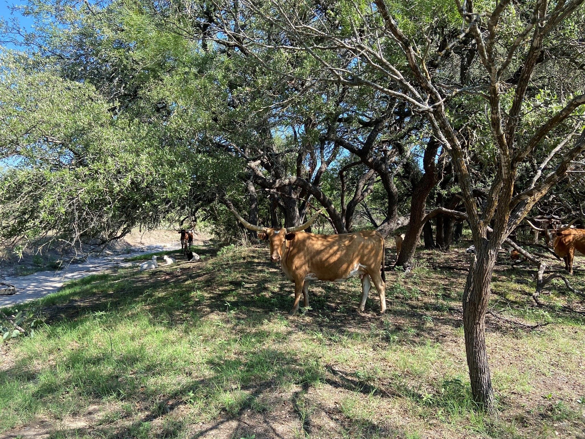 Tbd F.m. 3023 Highway S Goldthwaite TX 76844