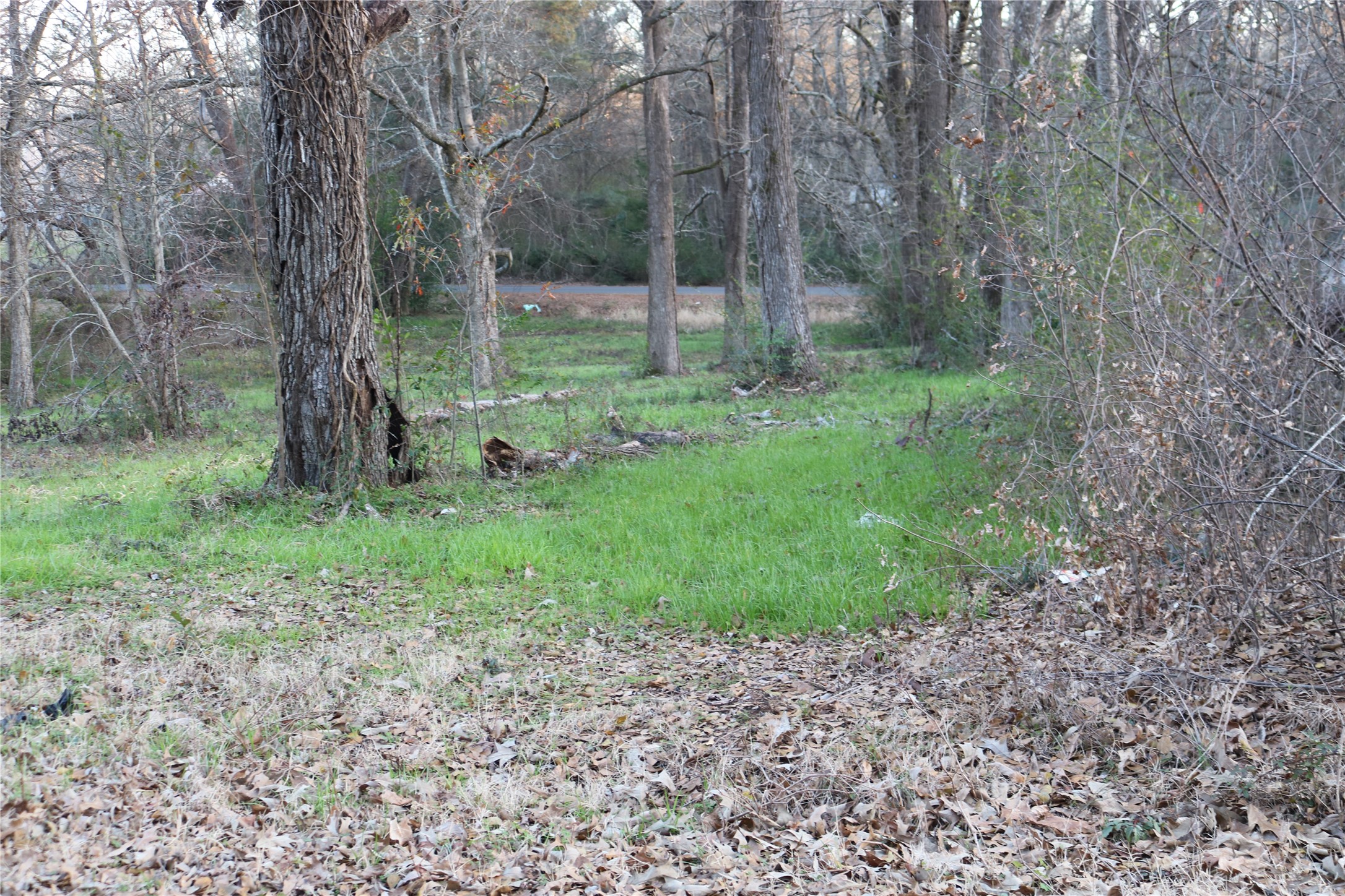Tbd Morton & Pemberton Lot Marshall TX 75670