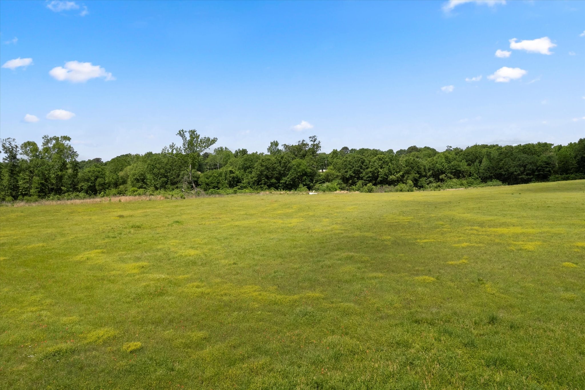 Lot 01 County Road 1309 Pittsburg TX 75686
