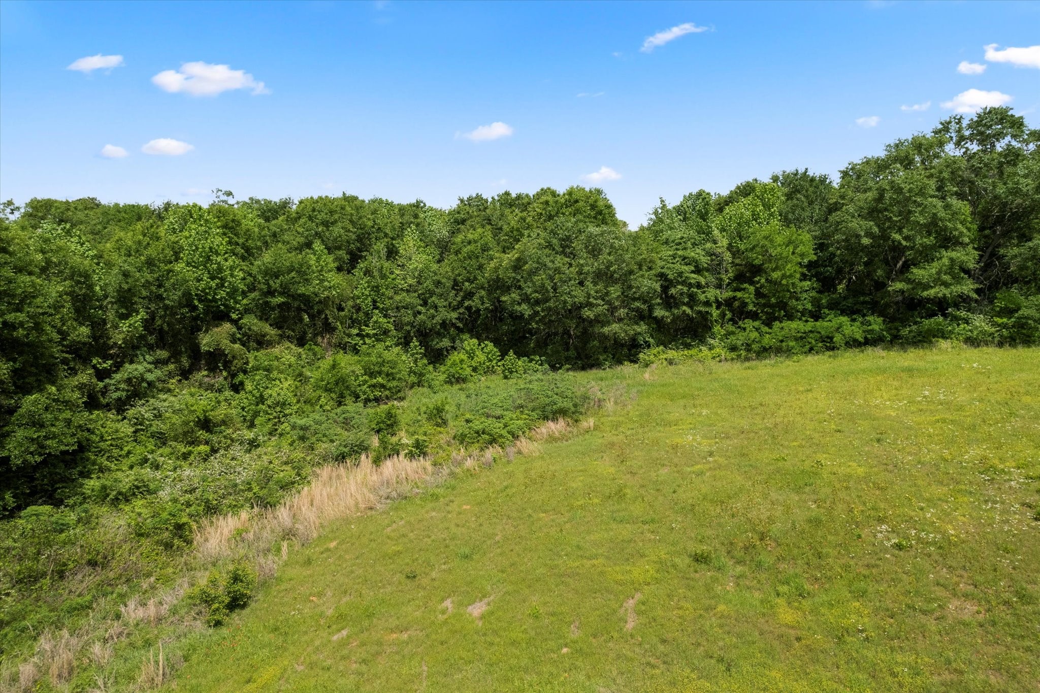 Lot 01 County Road 1309 Pittsburg TX 75686