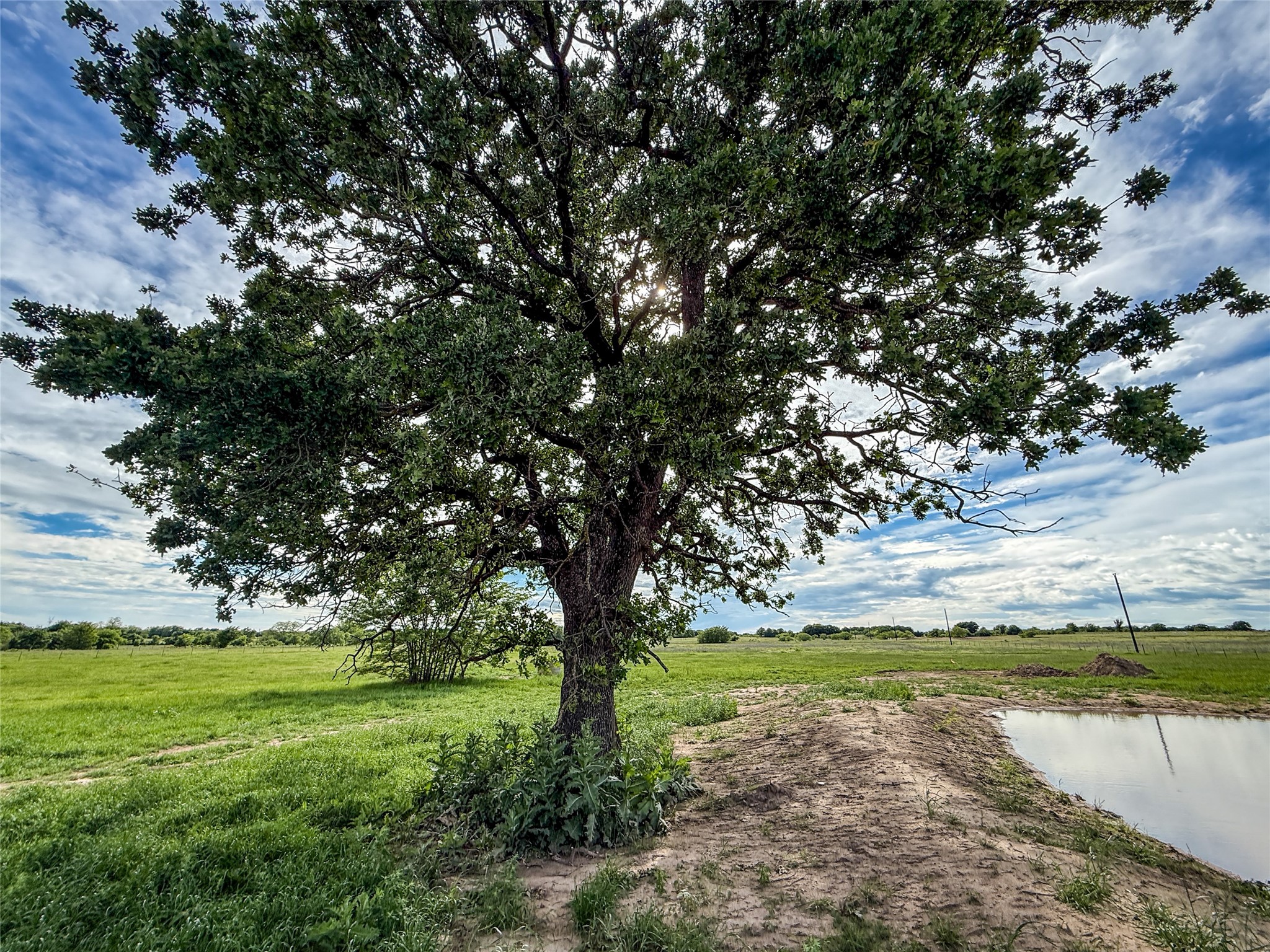 424 County Road 1475 Alvord TX 76225