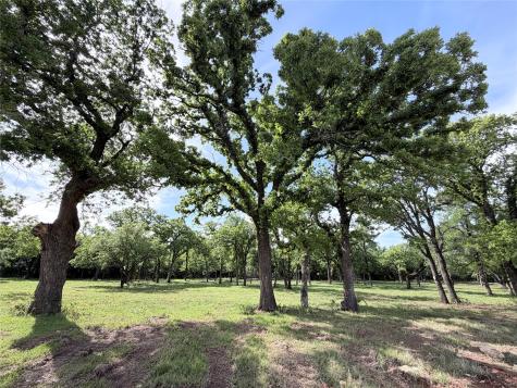 Lot 10 Lakewood Drive Whitney TX 76692