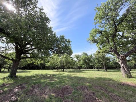 Lot 10 Lakewood Drive Whitney TX 76692