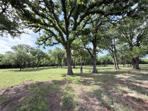 Lot 10 Lakewood Drive Whitney TX 76692