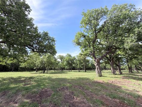 Lot 10 Lakewood Drive Whitney TX 76692