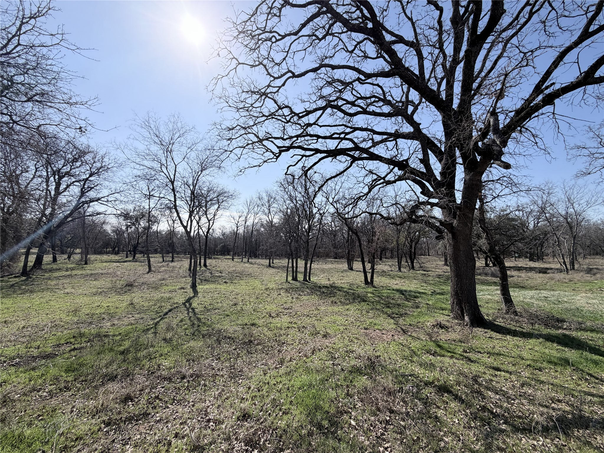 Lot 10 Lakewood Drive Whitney TX 76692