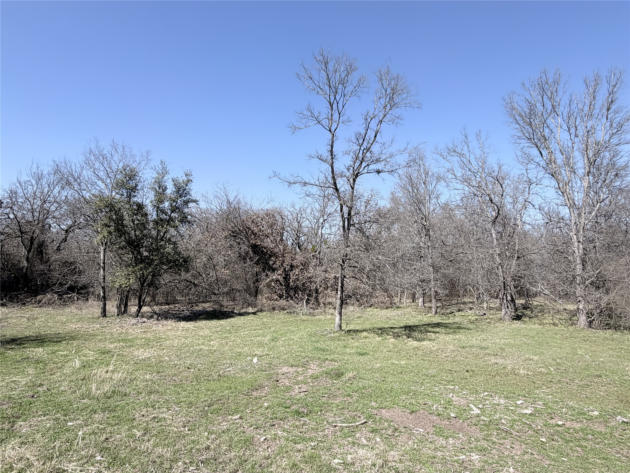 Lot 10 Lakewood Drive Whitney TX 76692