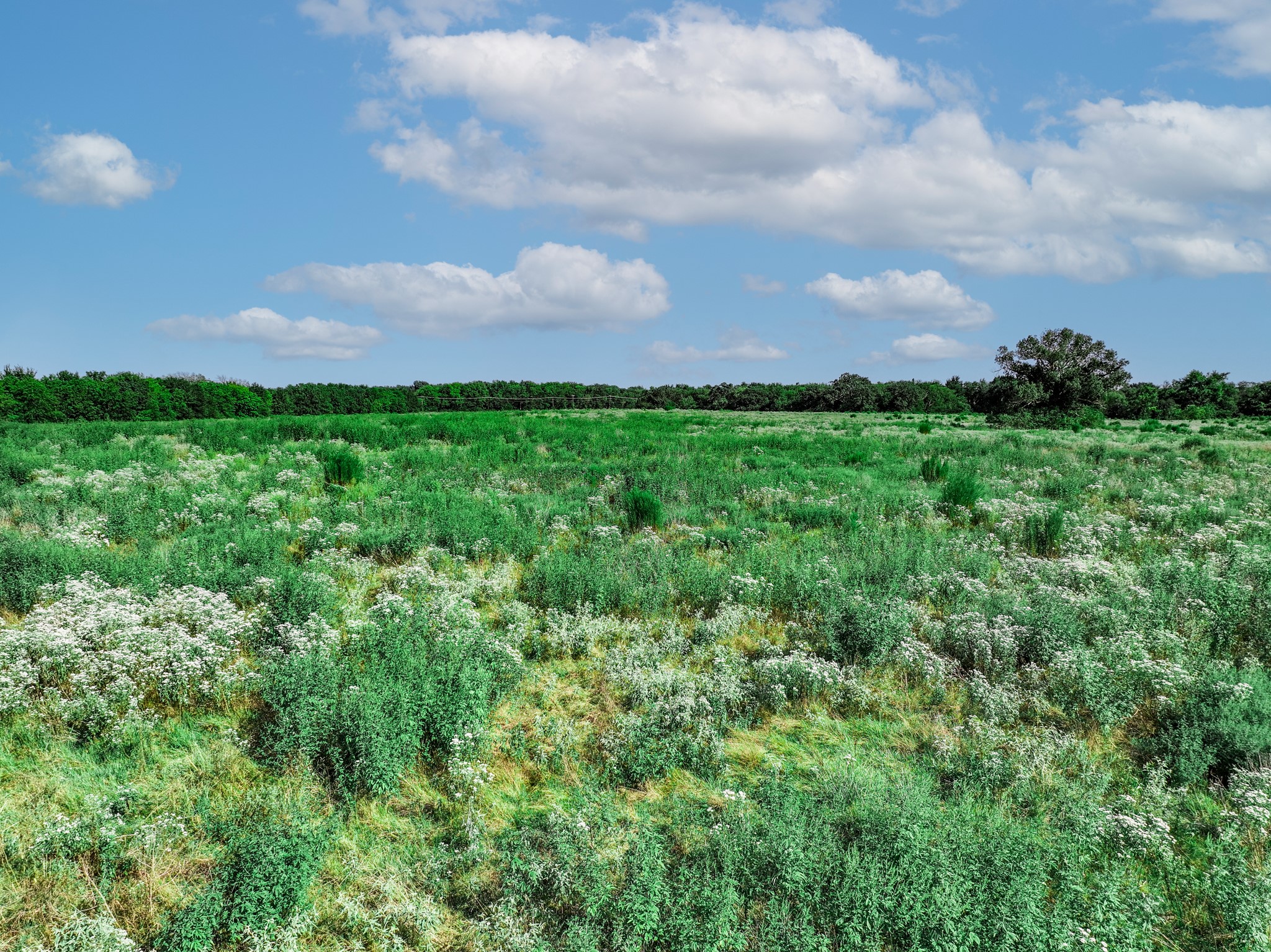 12.69 Acres S Farm Road 269 S Saltillo TX 75478