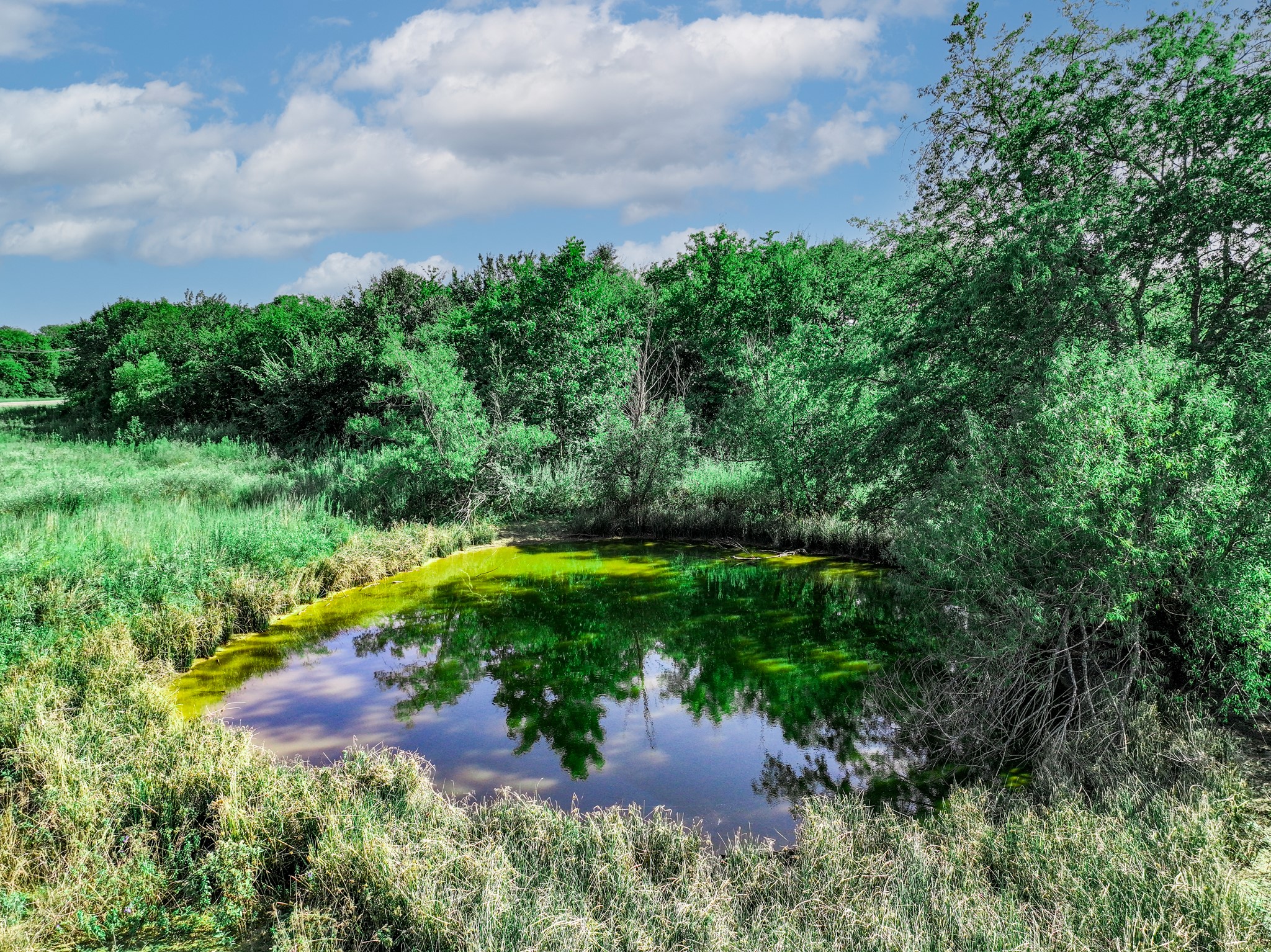 12.69 Acres S Farm Road 269 S Saltillo TX 75478